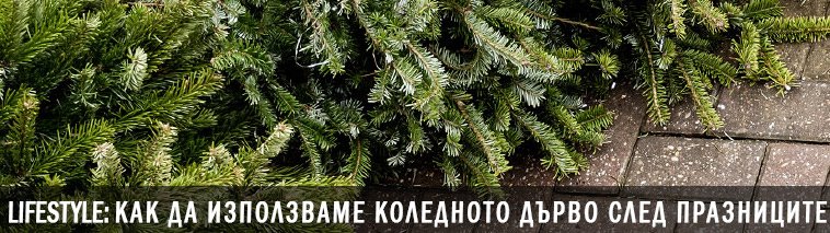 Идеи как да използваме коледното дърво след празниците