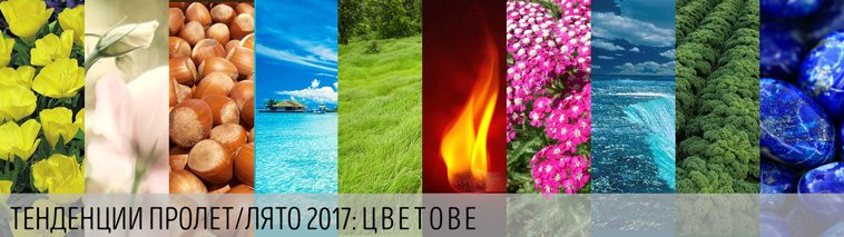Цветовете пролет/лято 2017