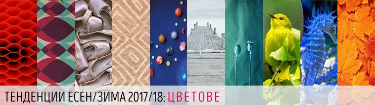 Модерни цветове есен/зима 2017/18